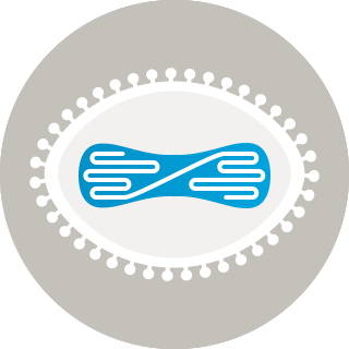 Viral Vector Technologies