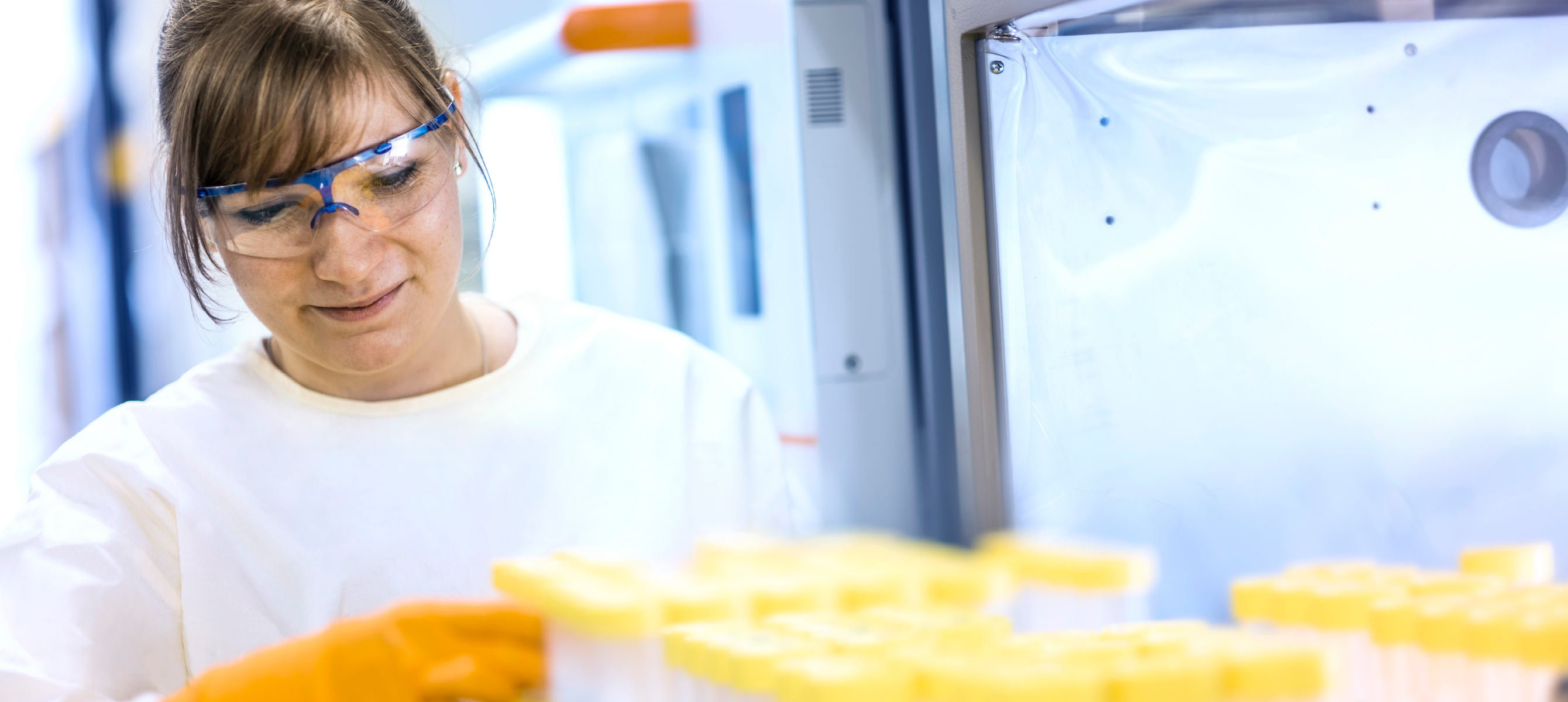 GMP Production Cell Lines