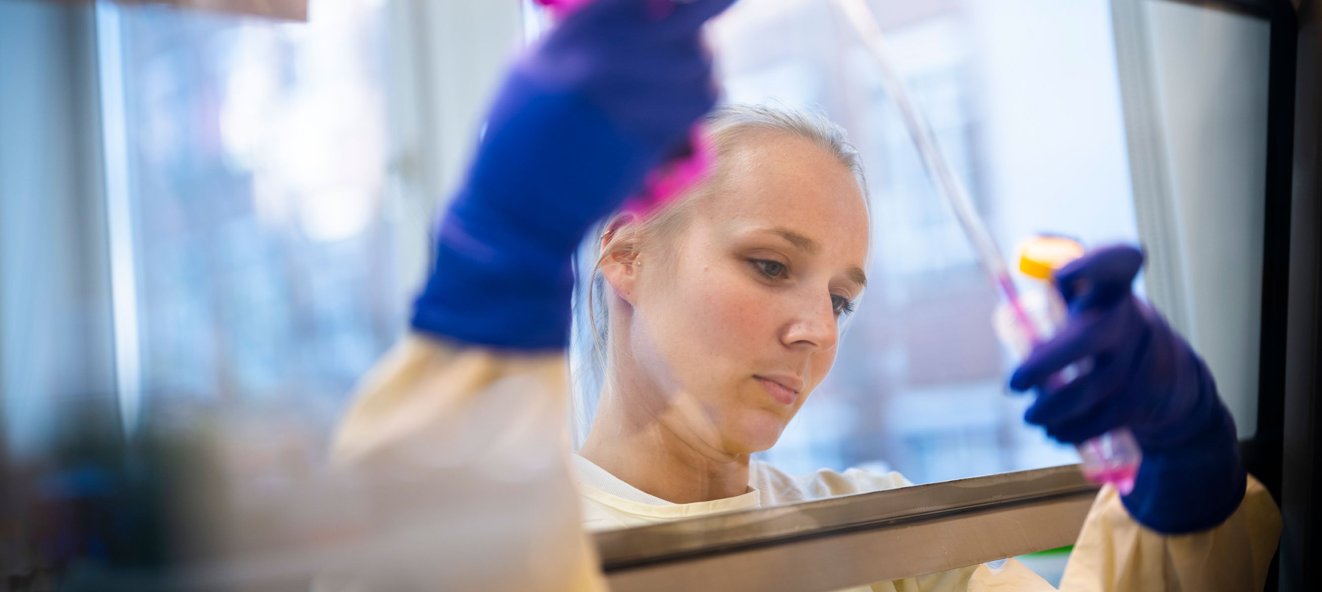 Virus Production Development