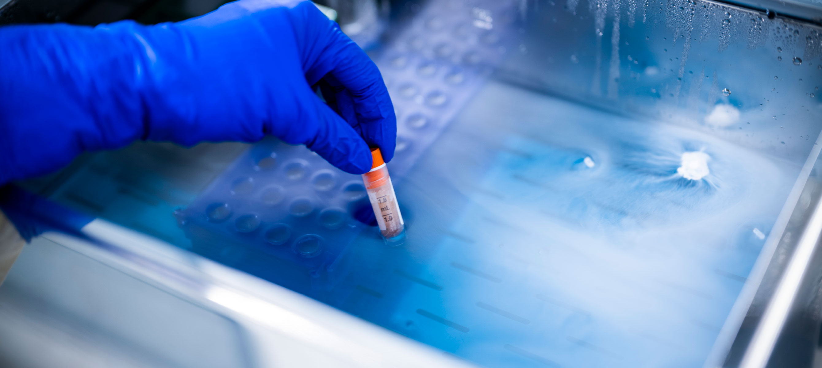 Viral Vector Technologues