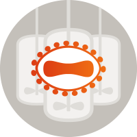 Downstream Process Development