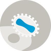 Virus Production Cell Lines